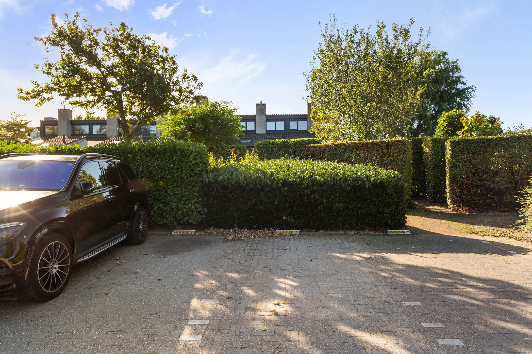 Photo 45 of Numansgors 193