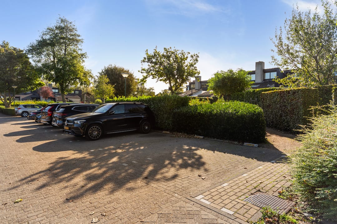 Photo 46 of Numansgors 193