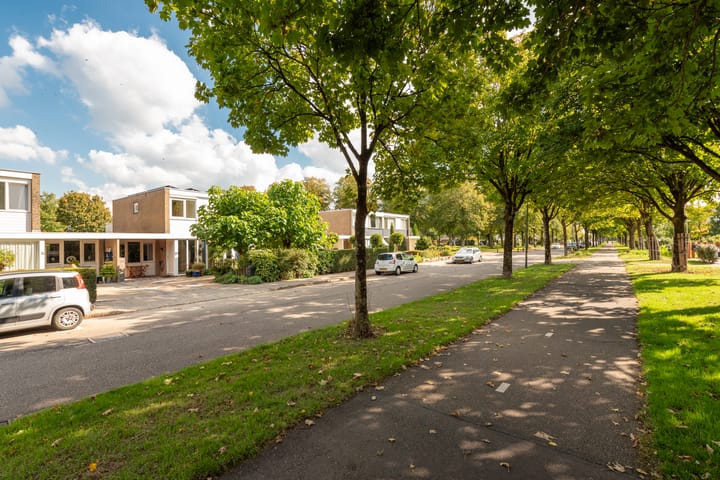 Foto 52 van Singel 23