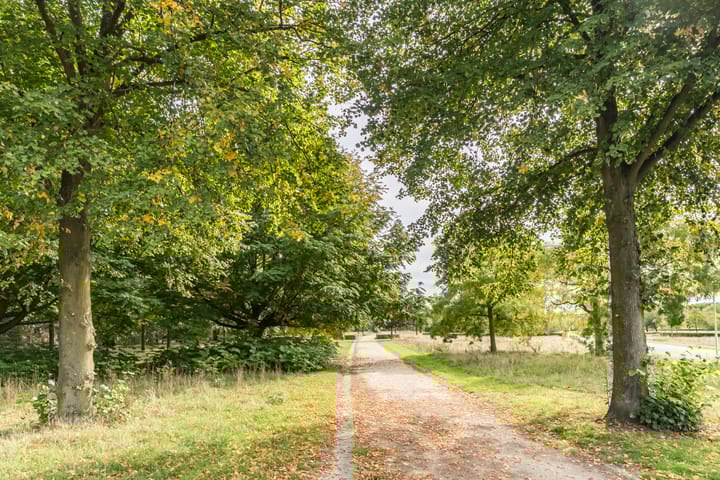 Foto 42 van Herwijnenstraat 15