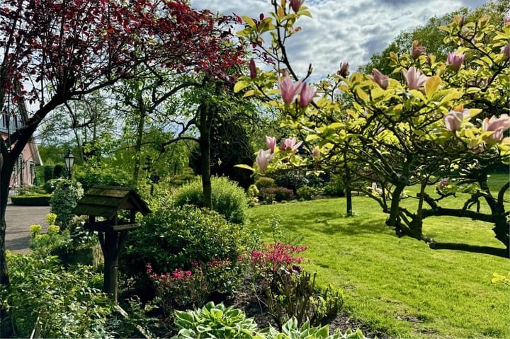 Foto 10 van Grondmanstraat 31-A