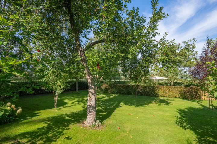 Foto 77 van Miltseweg 3