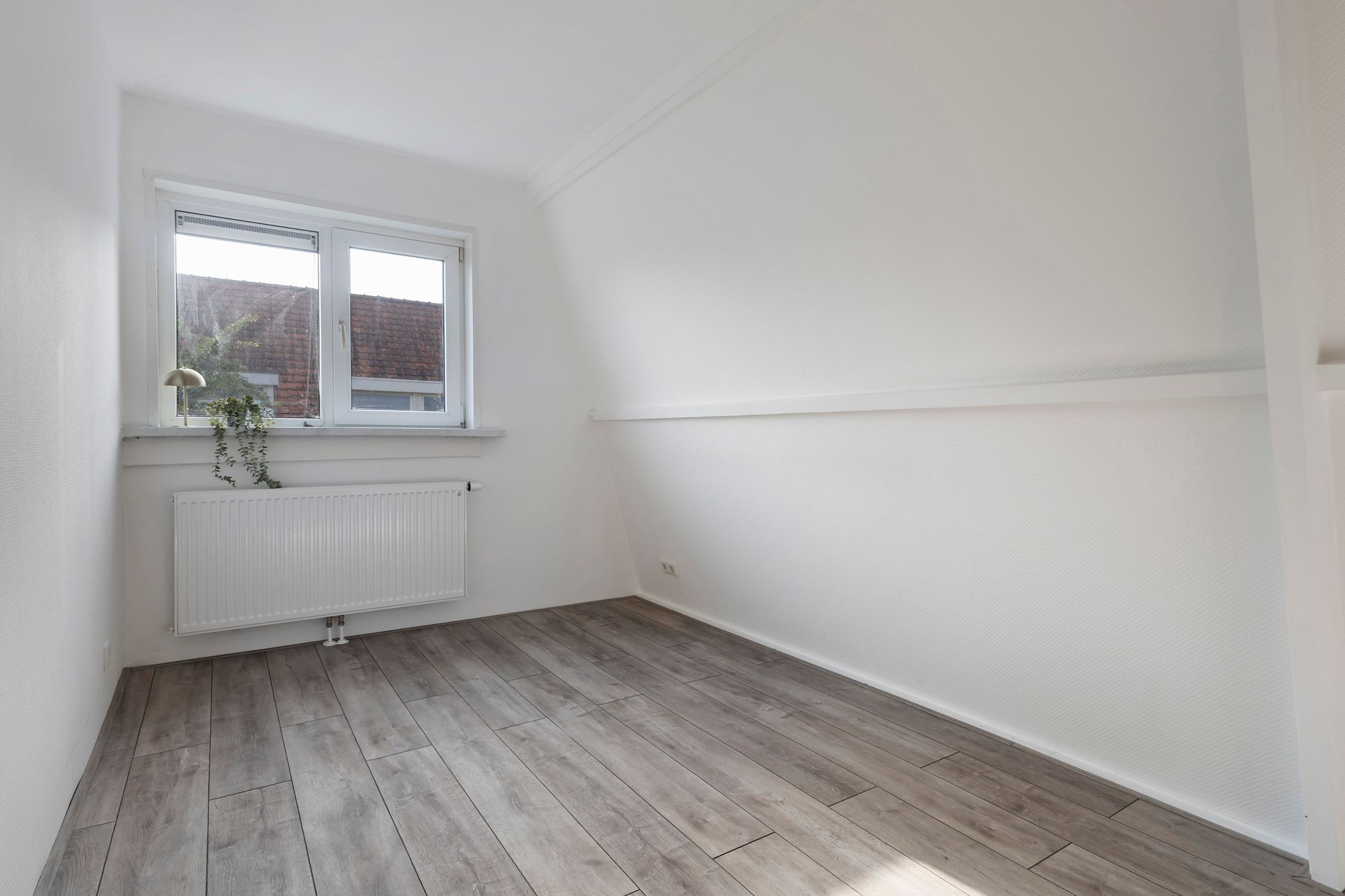 Foto 33 van Paulus Potterstraat 58