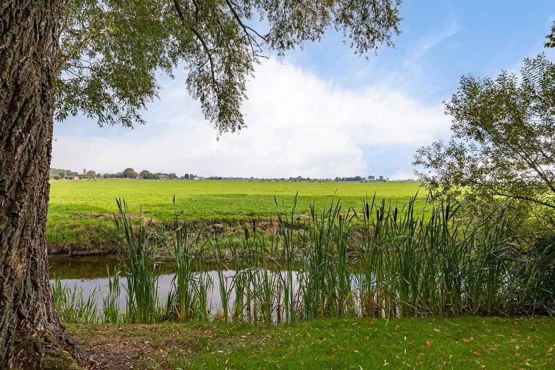 Foto 8 van Tjitze de Boerstrjitte 5