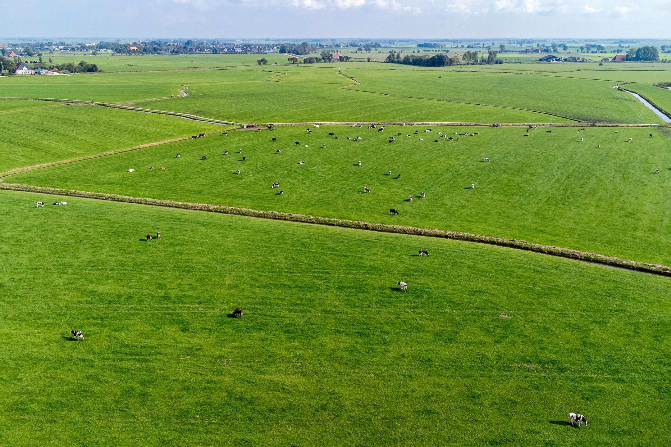 Foto 45 van Tjitze de Boerstrjitte 5