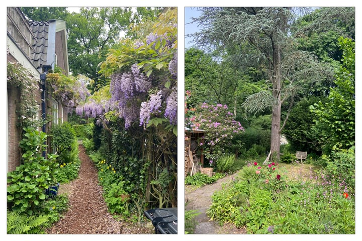 Foto 38 van Bosstraat 35