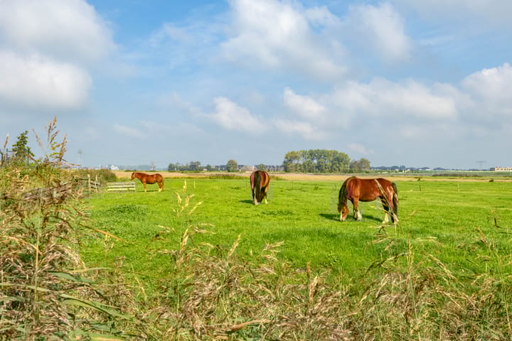 Foto 9 van Oscar Wildestraat 2