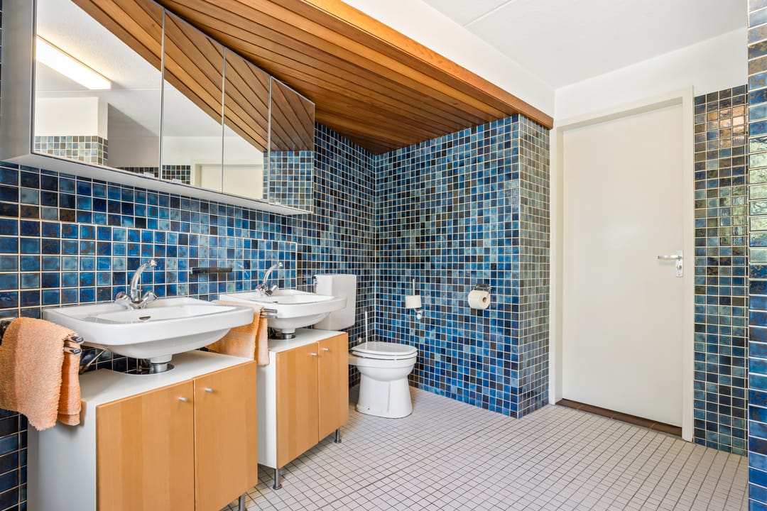 Foto 32 van Mosroos 7