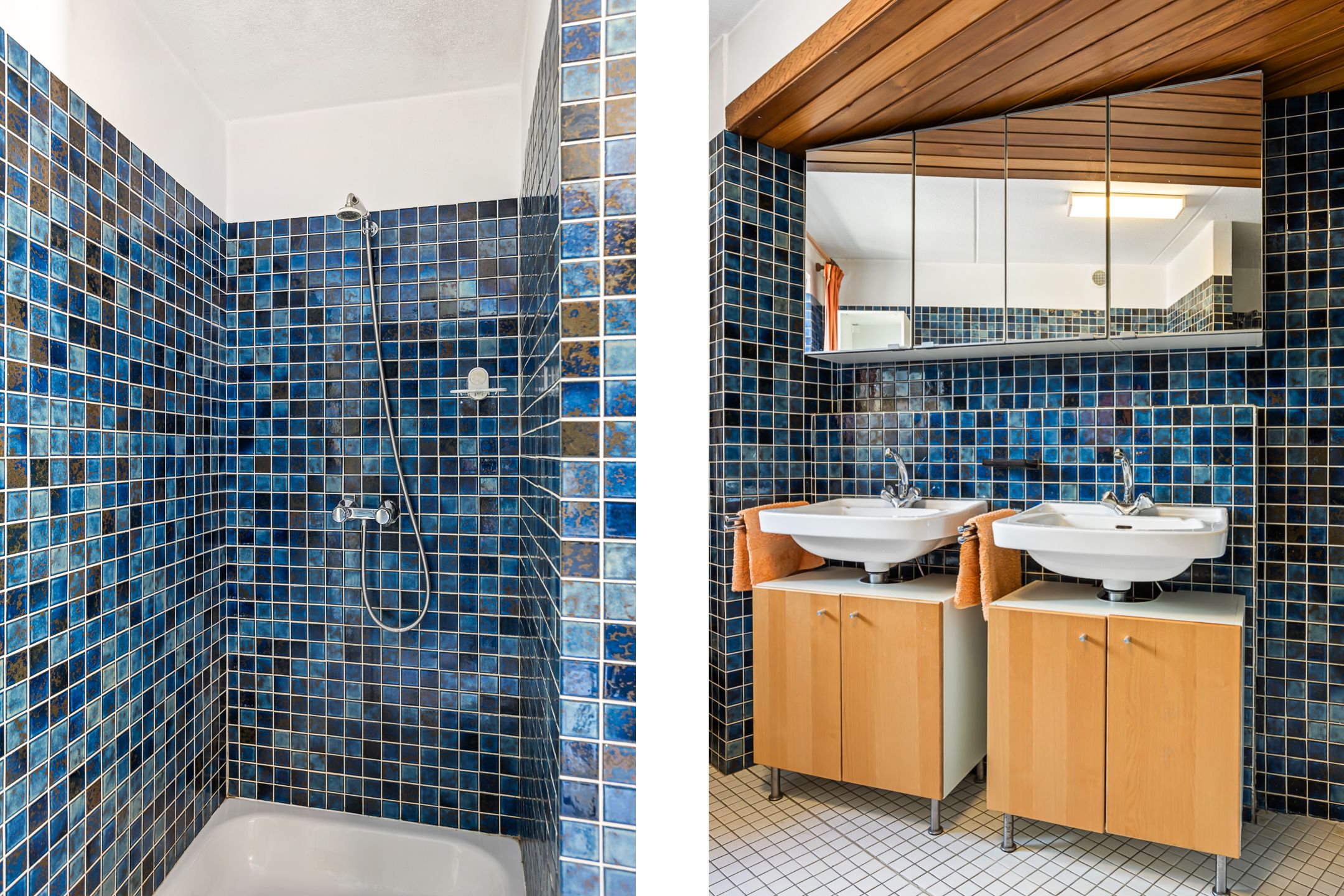 Foto 33 van Mosroos 7