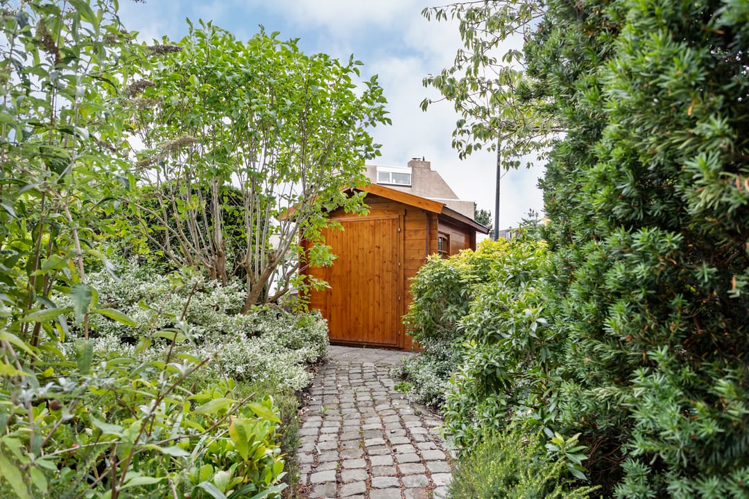 Foto 43 van Mosroos 7