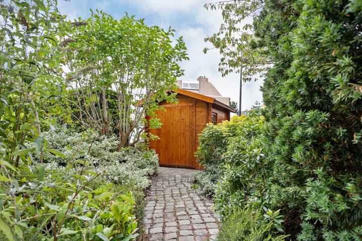 Foto 43 van Mosroos 7