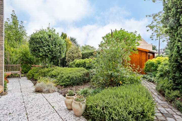 Foto 42 van Mosroos 7