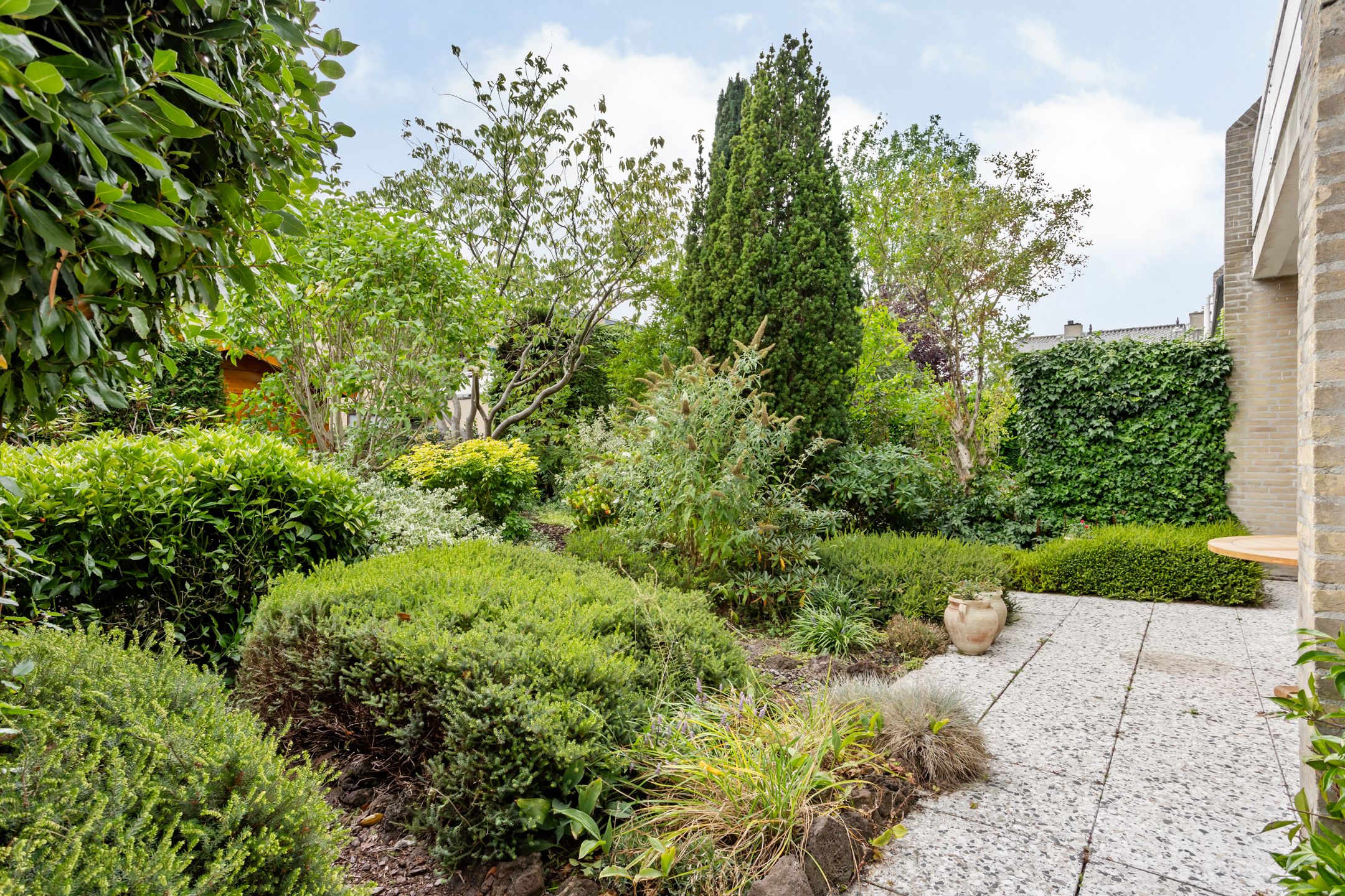 Foto 45 van Mosroos 7