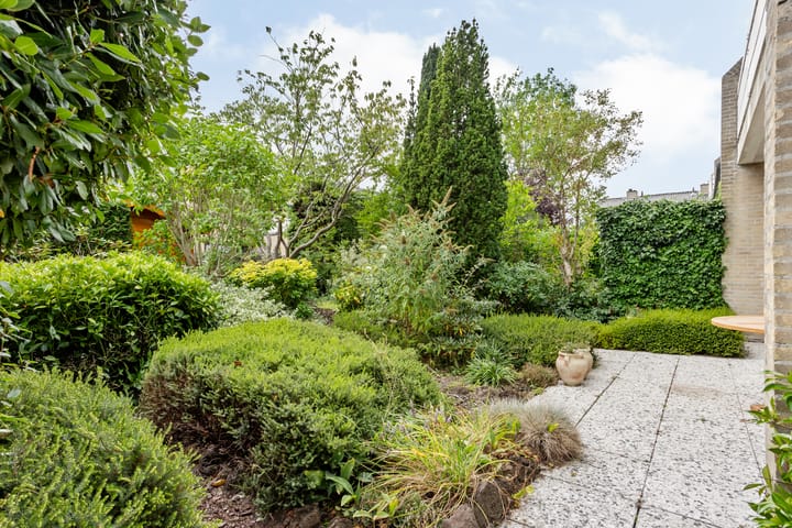 Foto 45 van Mosroos 7