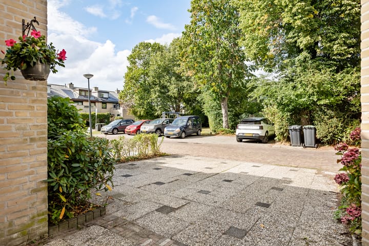 Foto 46 van Mosroos 7