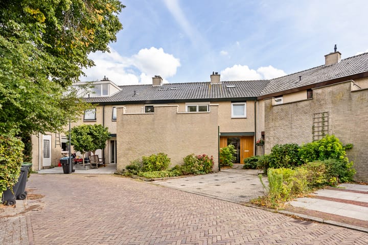 Foto 48 van Mosroos 7