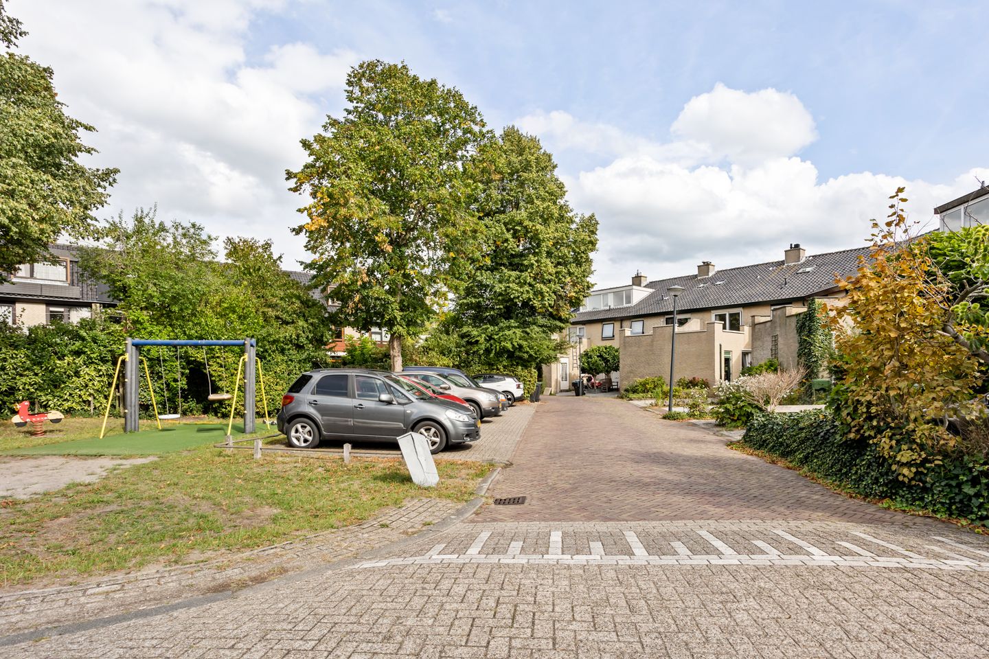 Foto 50 van Mosroos 7