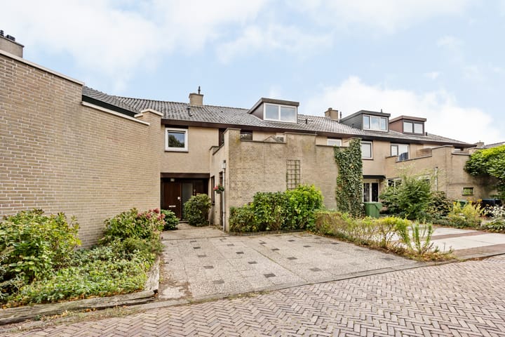 Foto 47 van Mosroos 7