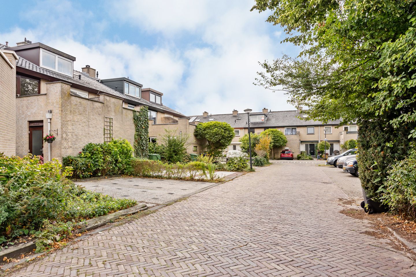 Foto 49 van Mosroos 7