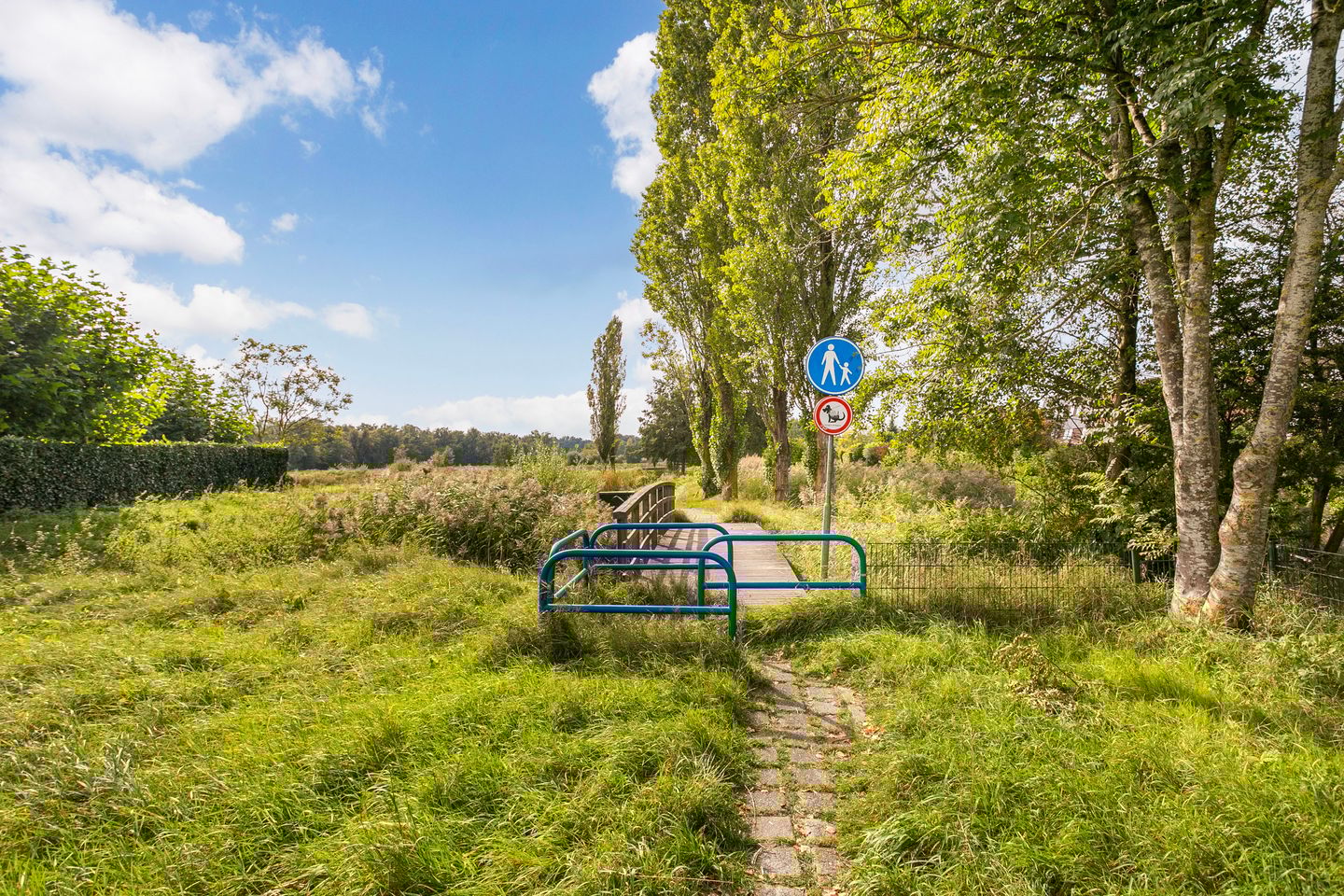 Foto 34 van Morgen 45