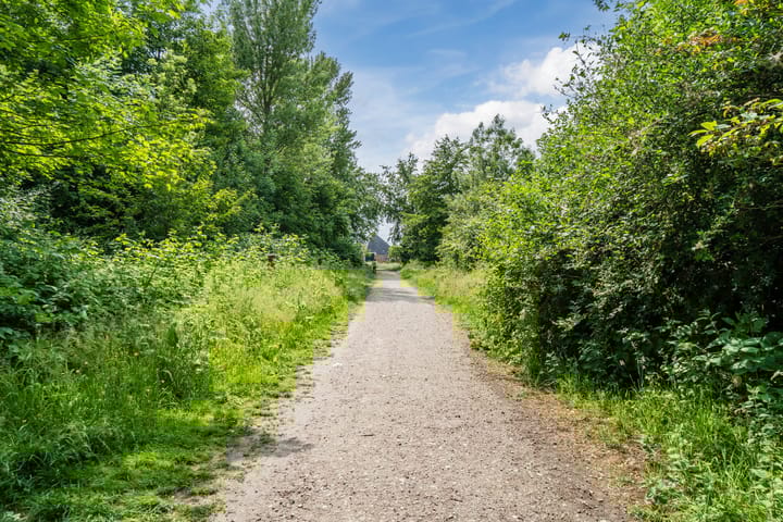 Foto 60 van Lommerhof 24