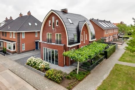 undefined main image