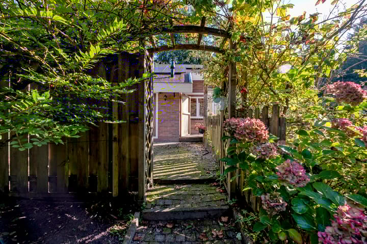 Photo 34 of Middenpad 4