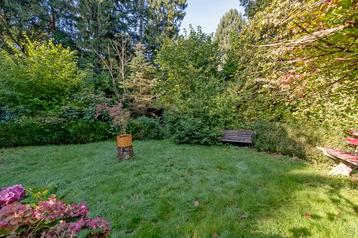 Photo 35 of Middenpad 4