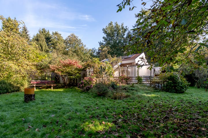 Photo 38 of Middenpad 4