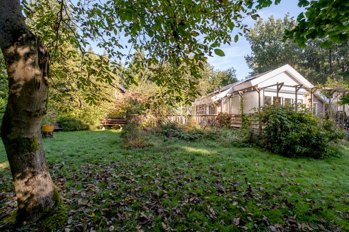 Photo 40 of Middenpad 4