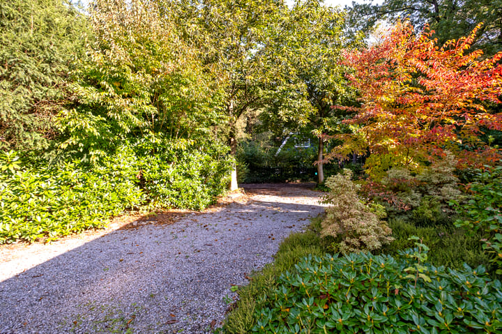 Photo 43 of Middenpad 4