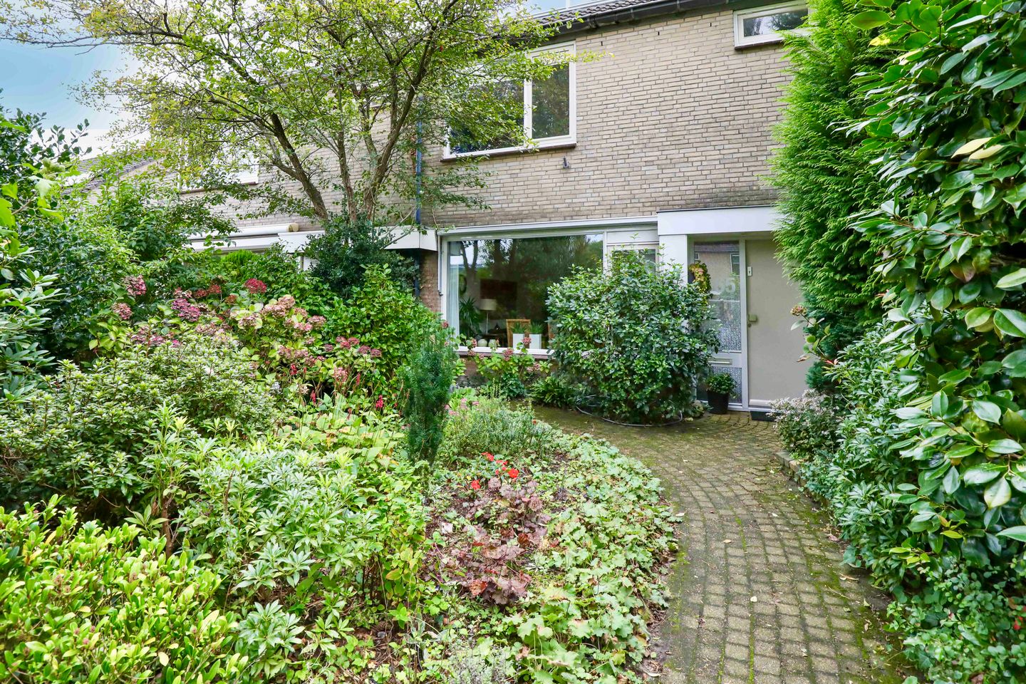 Foto 34 van Breeland 65