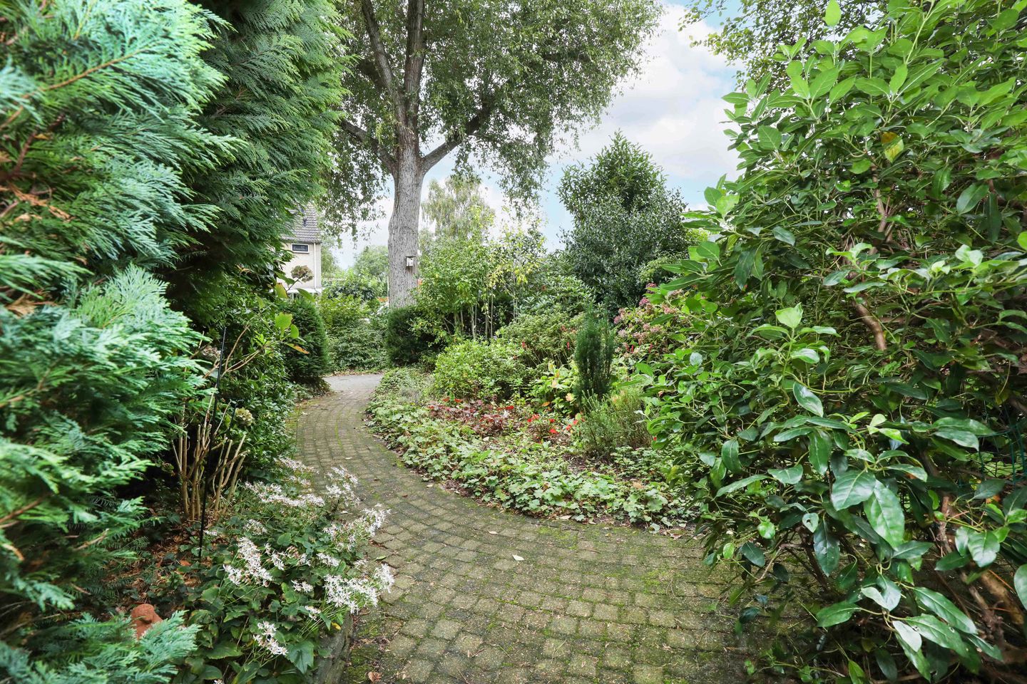 Foto 35 van Breeland 65