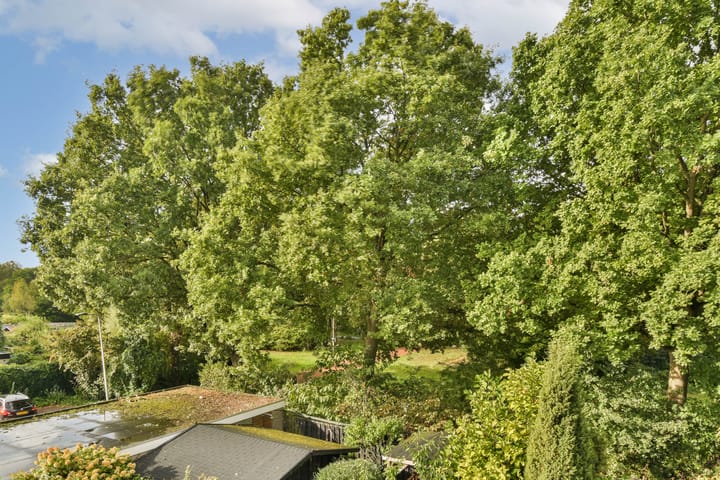 Foto 25 van Coronaplein 16