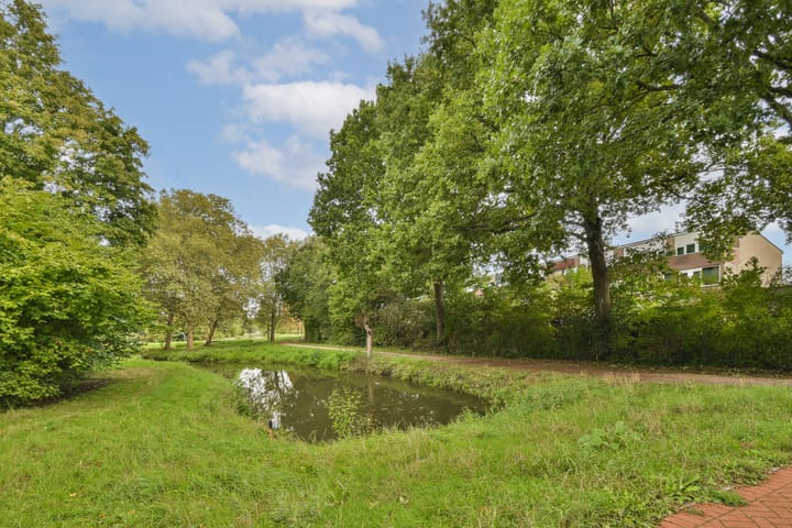 Foto 29 van Coronaplein 16