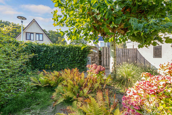 Foto 46 van Brédyk 45