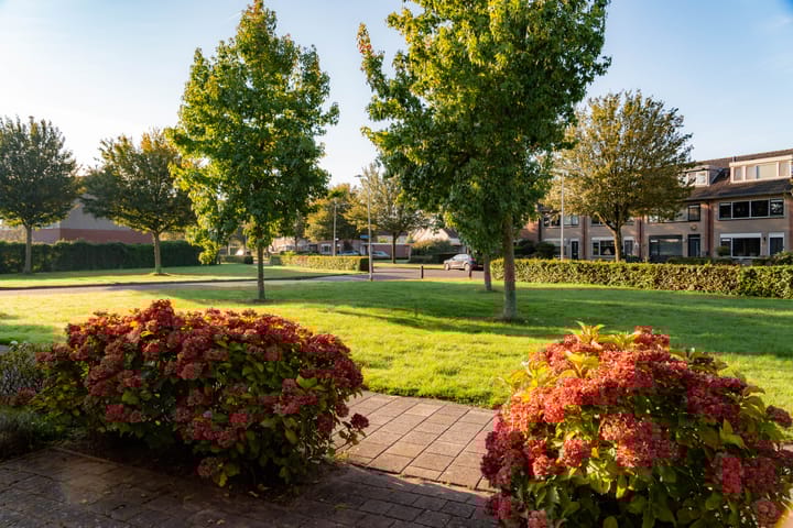 Photo 12 of Dukaat 40