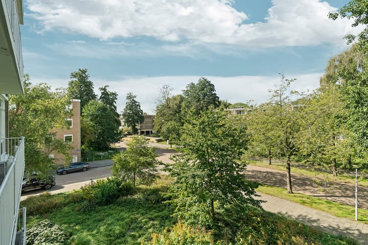 Foto 19 van Heringa-State 56