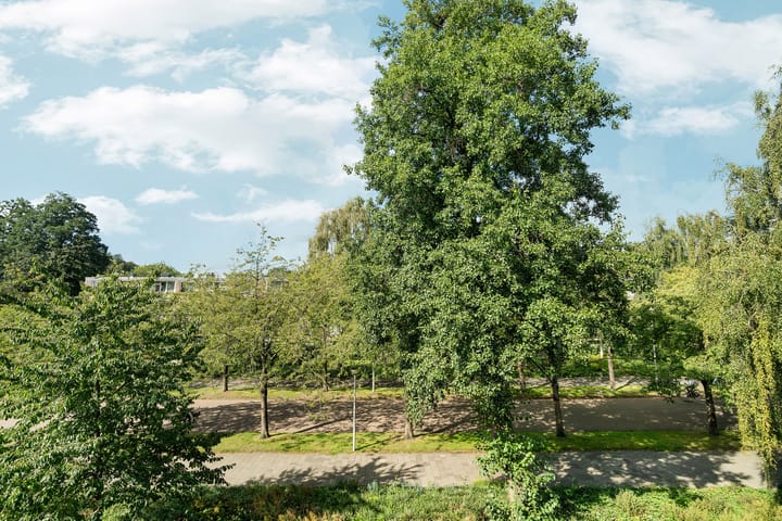 Foto 20 van Heringa-State 56