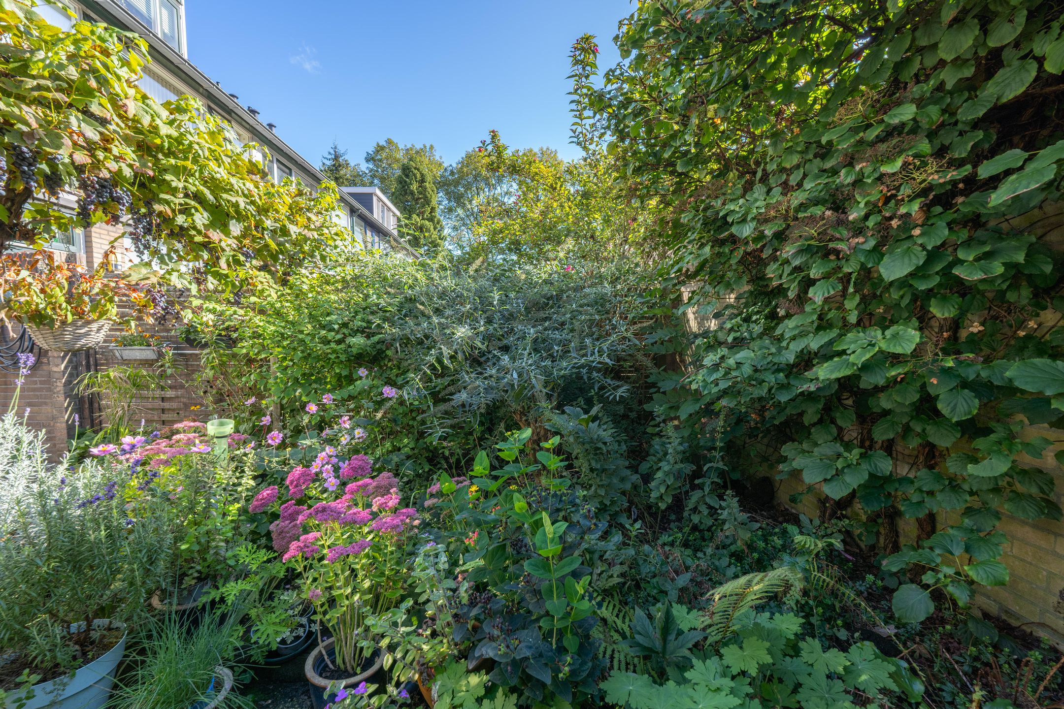 Foto 30 van Wadenoijenlaan 415