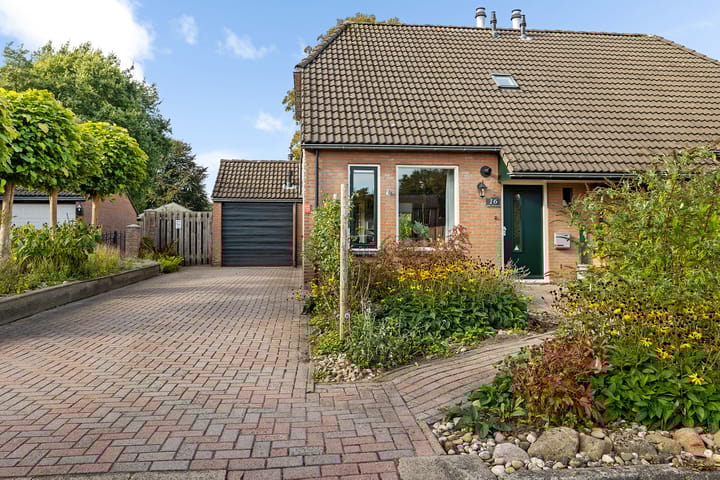 Photo 4 of Wollegras 16