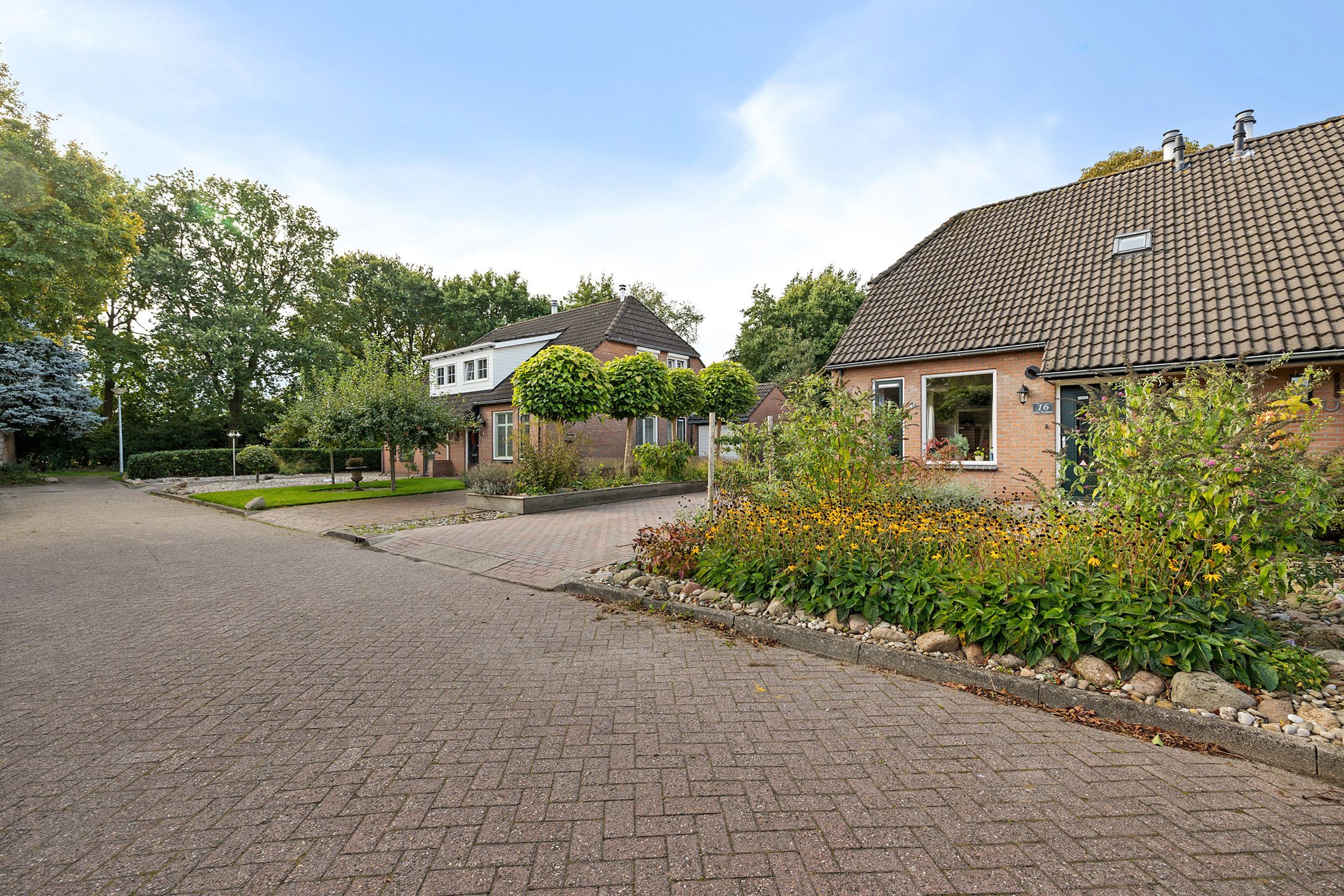 Foto 42 van Wollegras 16