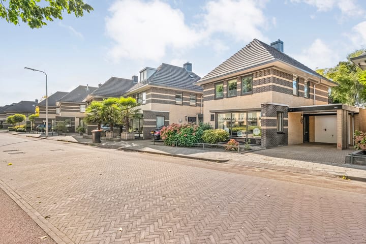 Foto 4 van Aardenburg 6