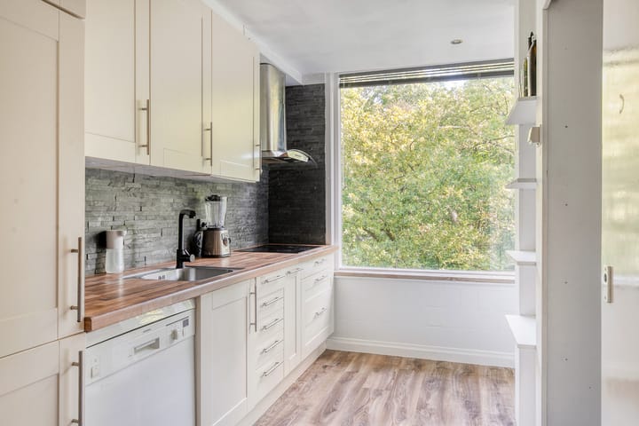 Foto 11 van Plesmanstraat 319