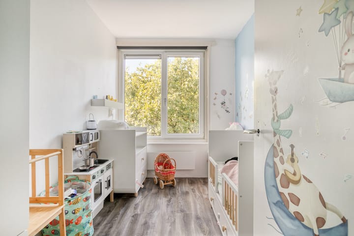 Foto 18 van Plesmanstraat 319