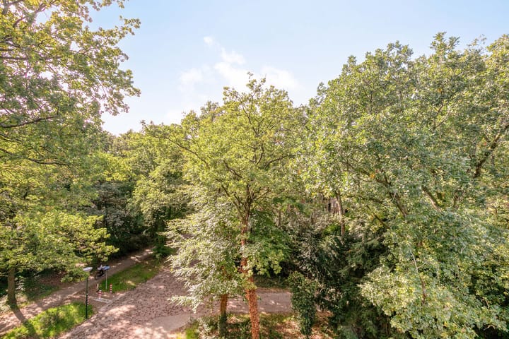 Foto 21 van Plesmanstraat 319