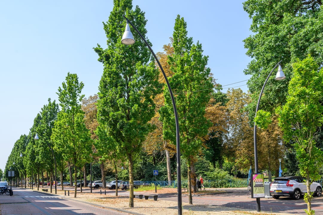 Foto 31 van Slotlaan 119-2