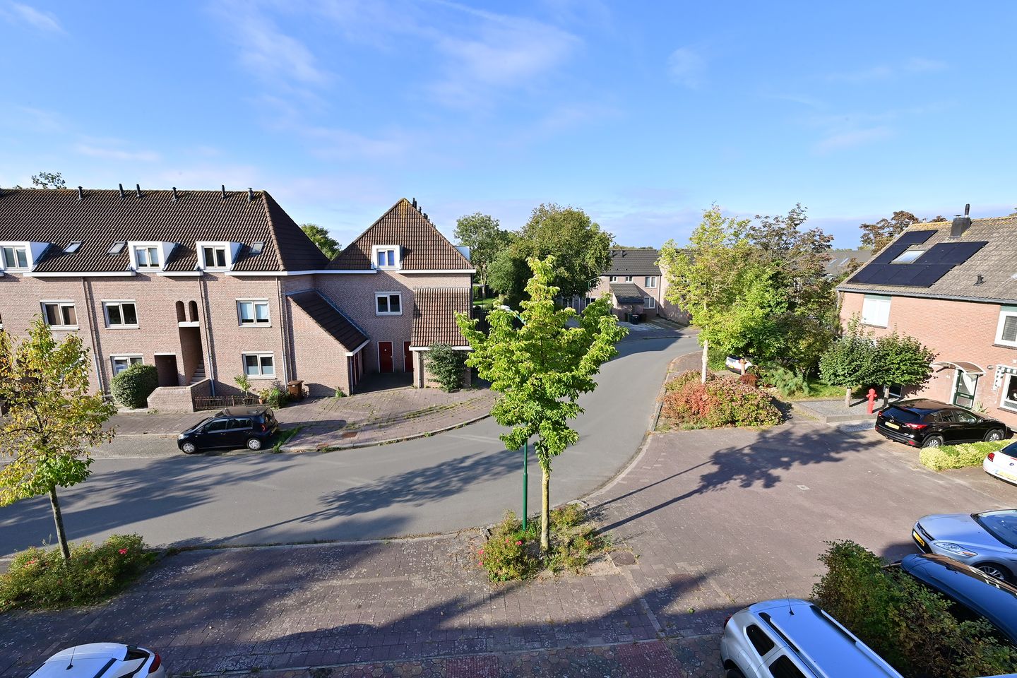 Photo 4 of Turfstreek 51