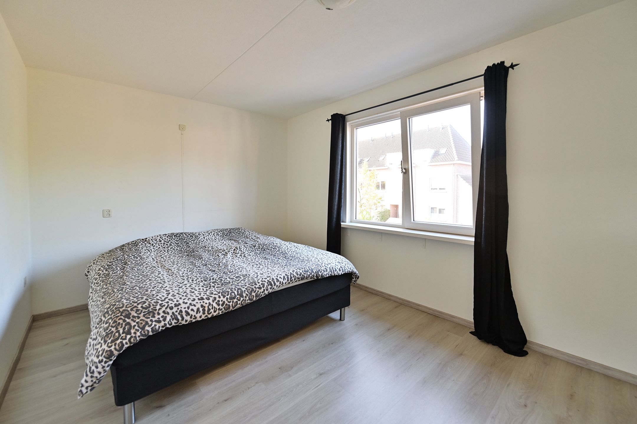 Photo 9 of Turfstreek 51