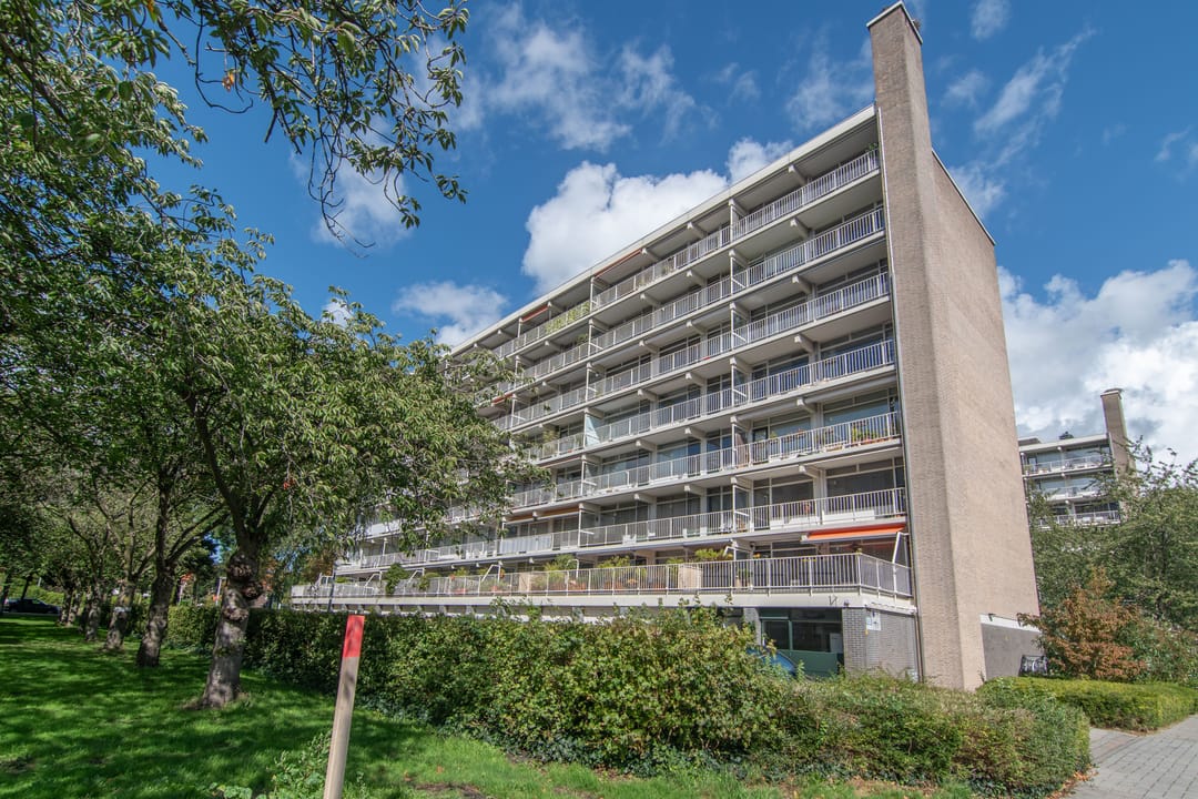 Foto 2 van Suzannaland 188